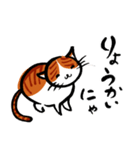 猫が挨拶（個別スタンプ：8）