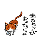 猫が挨拶（個別スタンプ：13）