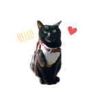 黒猫のにゃにゃ（個別スタンプ：1）