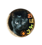 黒猫のにゃにゃ（個別スタンプ：2）