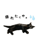 黒猫のにゃにゃ（個別スタンプ：6）