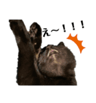 黒猫のにゃにゃ（個別スタンプ：7）
