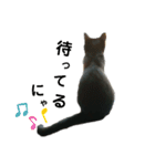 黒猫のにゃにゃ（個別スタンプ：9）