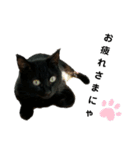 黒猫のにゃにゃ（個別スタンプ：10）