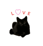 黒猫のにゃにゃ（個別スタンプ：11）