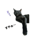 黒猫のにゃにゃ（個別スタンプ：14）