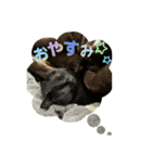 黒猫のにゃにゃ（個別スタンプ：15）