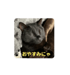 黒猫のにゃにゃ（個別スタンプ：16）