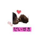 いろんな〜すたんぷ（個別スタンプ：2）