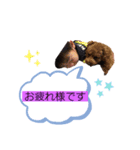いろんな〜すたんぷ（個別スタンプ：5）