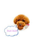 いろんな〜すたんぷ（個別スタンプ：7）