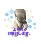 リアたん〜日常編〜（個別スタンプ：1）
