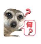 リアたん〜日常編〜（個別スタンプ：15）