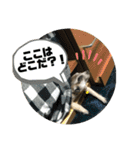 リアたん〜日常編〜（個別スタンプ：22）