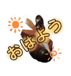 みんなのH2A（個別スタンプ：23）