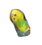 鳥、猫、犬、人間（個別スタンプ：1）