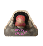 鳥、猫、犬、人間（個別スタンプ：3）