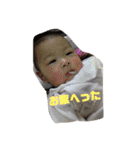 鳥、猫、犬、人間（個別スタンプ：12）