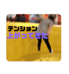 鳥、猫、犬、人間（個別スタンプ：13）
