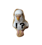 鳥、猫、犬、人間（個別スタンプ：16）