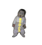 鳥、猫、犬、人間（個別スタンプ：17）