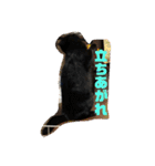 鳥、猫、犬、人間（個別スタンプ：20）