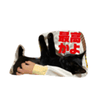 鳥、猫、犬、人間（個別スタンプ：24）