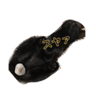 鳥、猫、犬、人間（個別スタンプ：37）