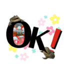 バジェットガエル(マルメタピオカガエル)（個別スタンプ：7）
