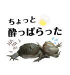 バジェットガエル(マルメタピオカガエル)（個別スタンプ：19）