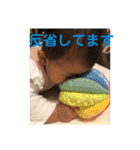 すずスタンプ 8ヶ月ver.（個別スタンプ：11）