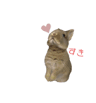 うちのツナ（個別スタンプ：5）