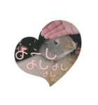 うちのツナ（個別スタンプ：6）