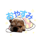 フレンチブルドッグ♡ボス（個別スタンプ：2）