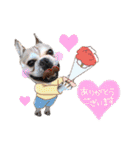 フレンチブルドッグ♡ボス（個別スタンプ：3）