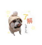 フレンチブルドッグ♡ボス（個別スタンプ：10）