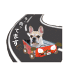 フレンチブルドッグ♡ボス（個別スタンプ：24）