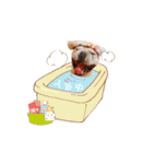 フレンチブルドッグ♡ボス（個別スタンプ：38）