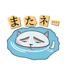 ウラオモテねこの1日（個別スタンプ：16）