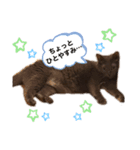 キキとミミのスタンプ第1弾（個別スタンプ：7）