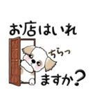 シーズー犬(お誘い・時々ダーツ)35（個別スタンプ：3）