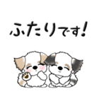 シーズー犬(お誘い・時々ダーツ)35（個別スタンプ：8）