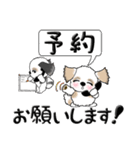 シーズー犬(お誘い・時々ダーツ)35（個別スタンプ：11）