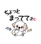 シーズー犬(お誘い・時々ダーツ)35（個別スタンプ：23）