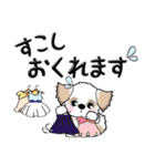 シーズー犬(お誘い・時々ダーツ)35（個別スタンプ：24）