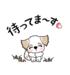 シーズー犬(お誘い・時々ダーツ)35（個別スタンプ：32）