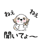 シーズー犬(お誘い・時々ダーツ)35（個別スタンプ：33）