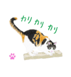 三毛猫ミカたんの日常（個別スタンプ：3）