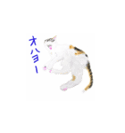 三毛猫ミカたんの日常（個別スタンプ：4）