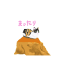 三毛猫ミカたんの日常（個別スタンプ：6）